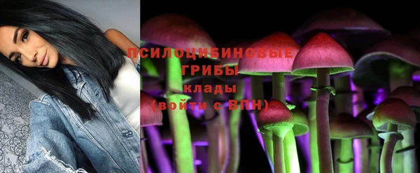 стаф Гусиноозёрск