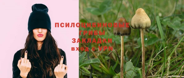 МДПВ Гусев