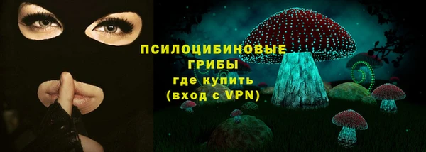 стаф Гусиноозёрск
