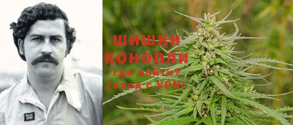 МДПВ Гусев