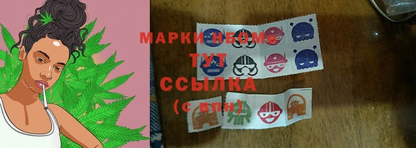 МДПВ Гусев